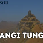 Mangi Tungi Height